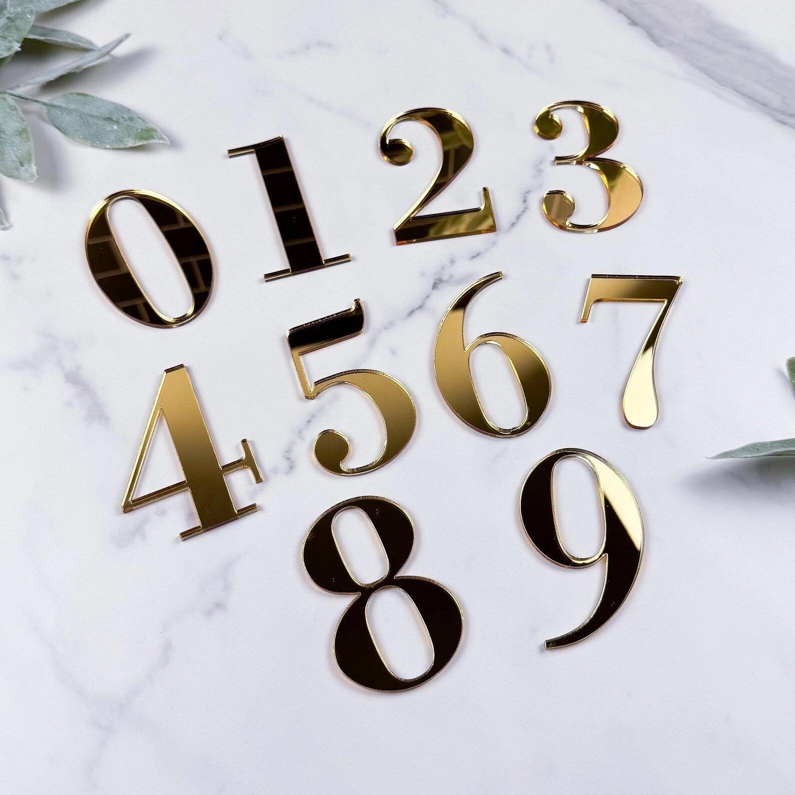 Wall Typography