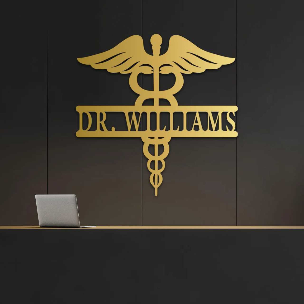 Personalized Doctor Sign, Doctor Decor, Doctor Metal Sign (Stainless Steel)